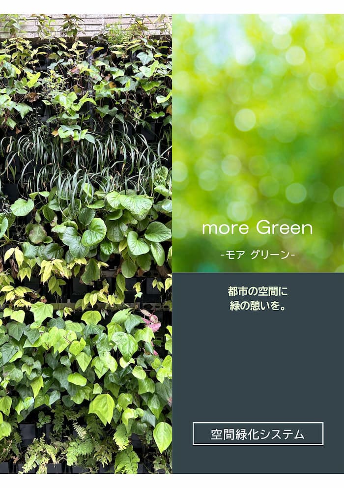 モアグリーンカタログ